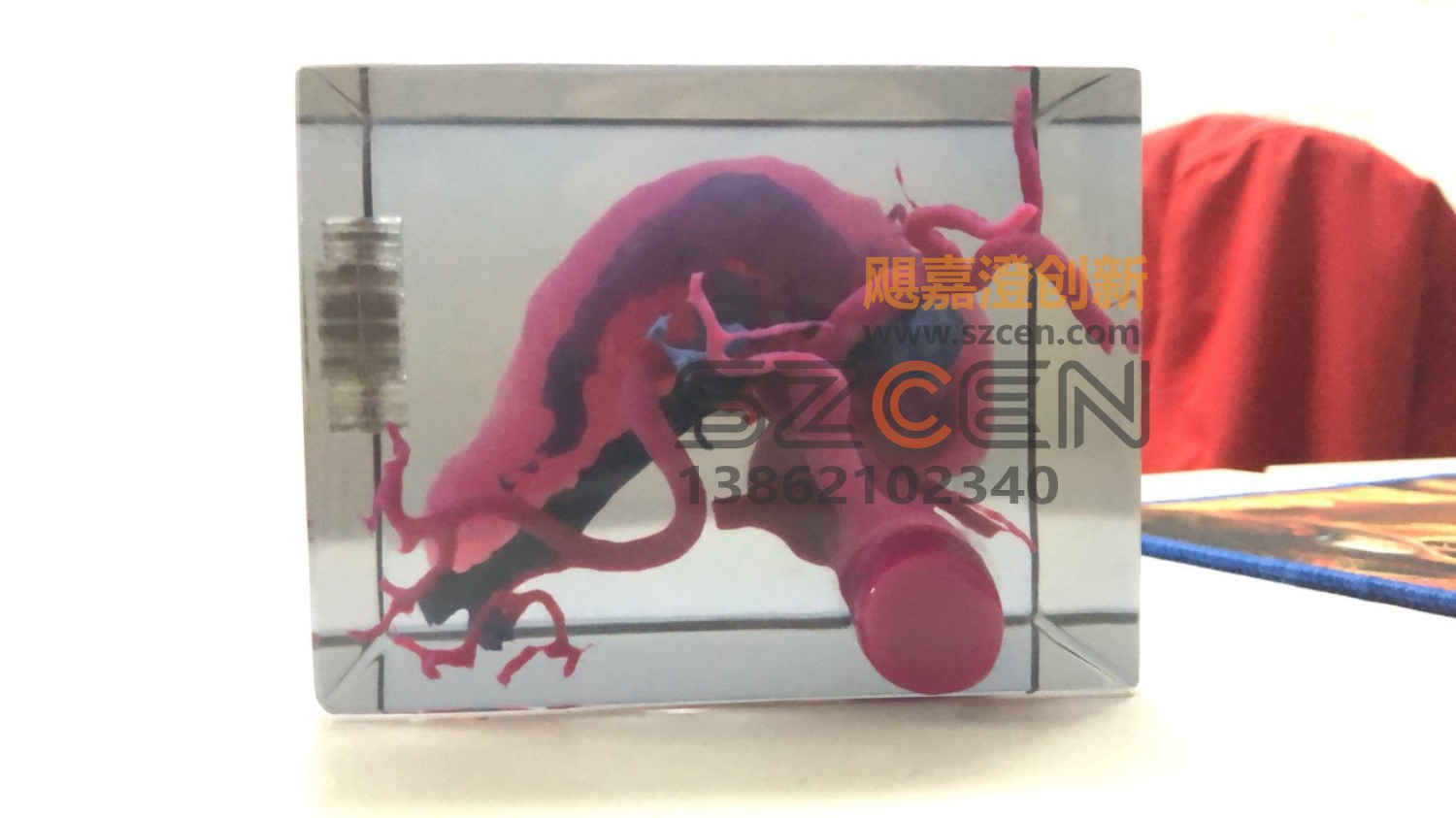 彩色3D打印样品｜多材料快速成型样品制作