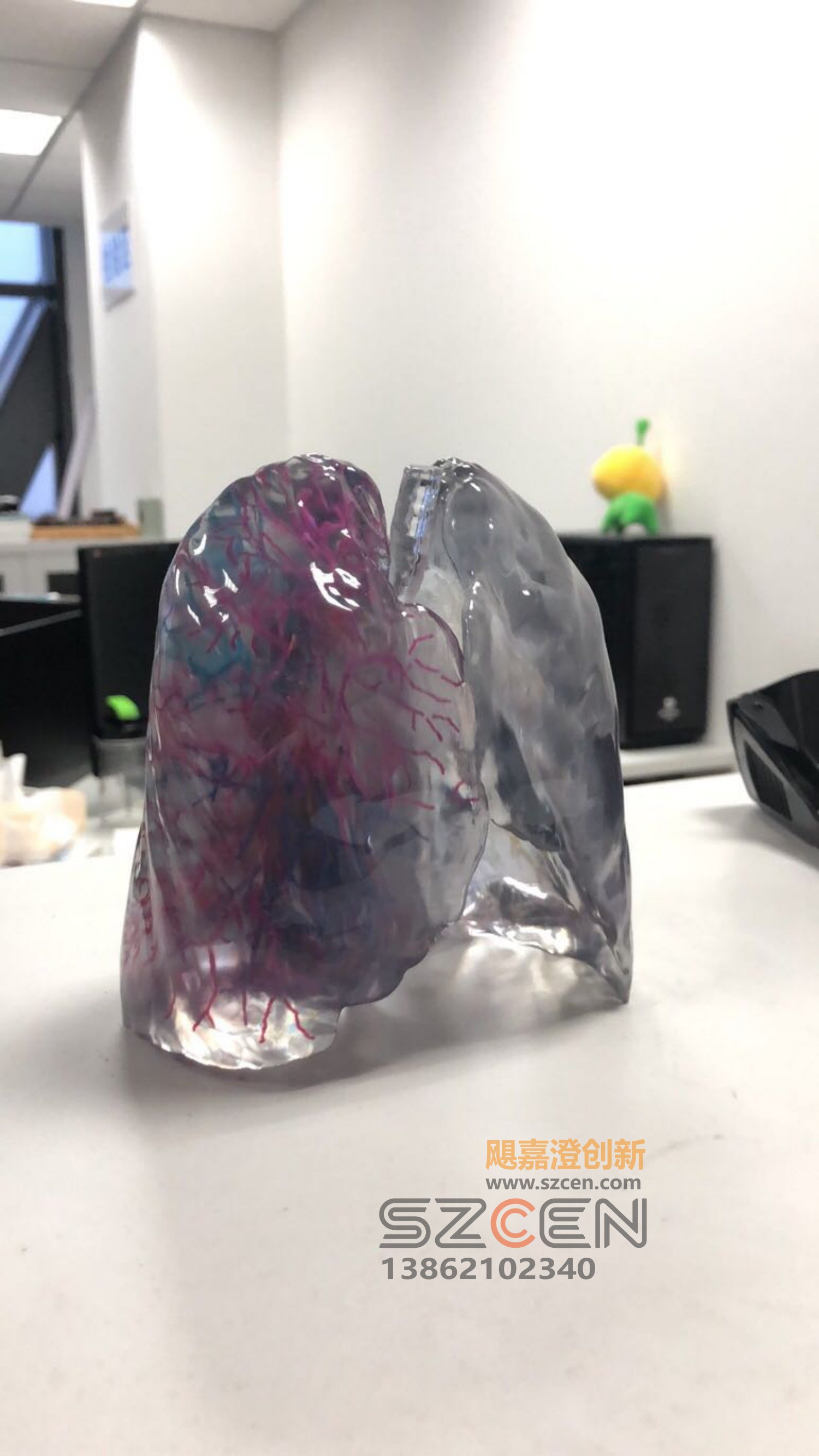彩色3D打印样品｜多材料快速成型样品制作