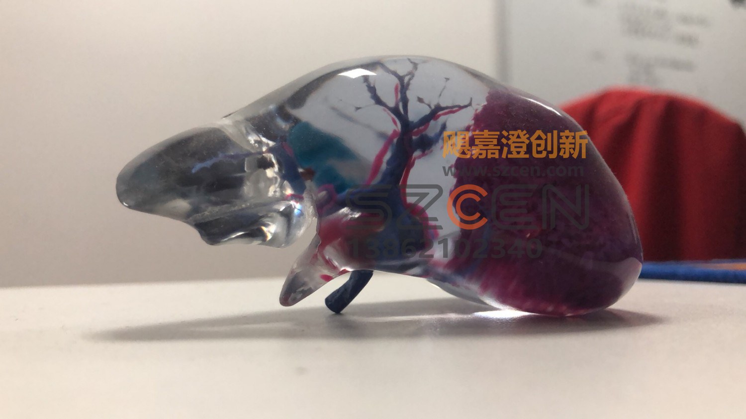 彩色3D打印样品｜多材料快速成型样品制作